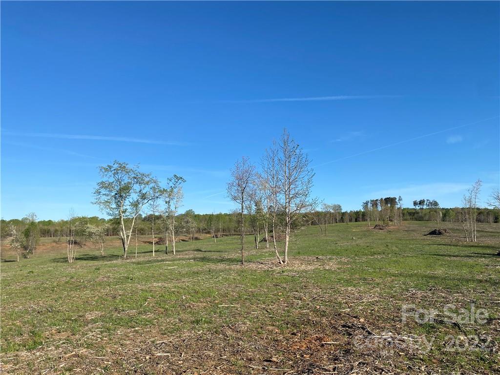 3242 Landrum Road Columbus, NC 28722 - Photo 5 of 11 a view of a big yard with an trees
