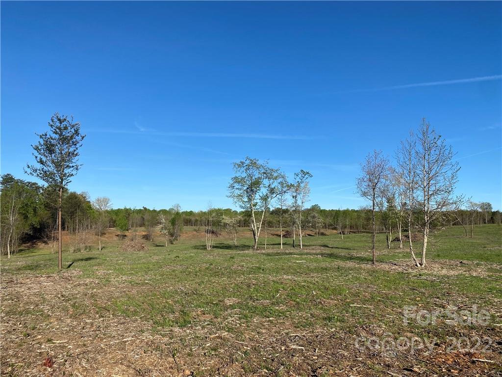 3242 Landrum Road Columbus, NC 28722 - Photo 6 of 11 a view of lake with outdoor space