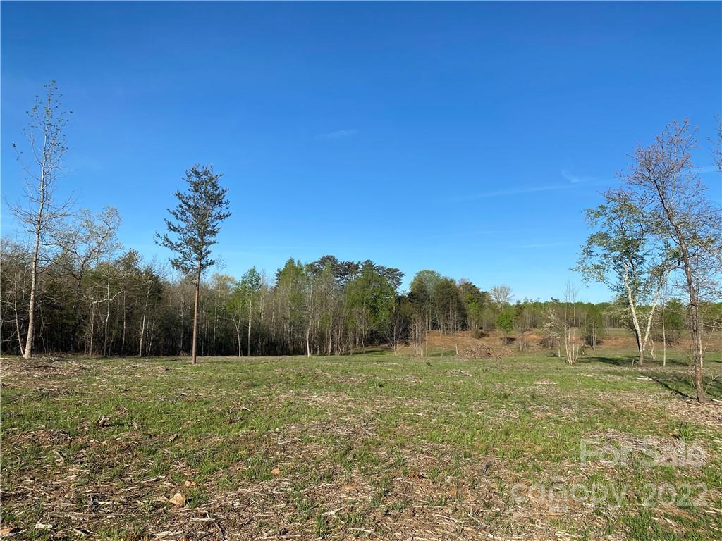 3242 Landrum Road Columbus, NC 28722 - Photo 7 of 11 a view of a field with trees in the background
