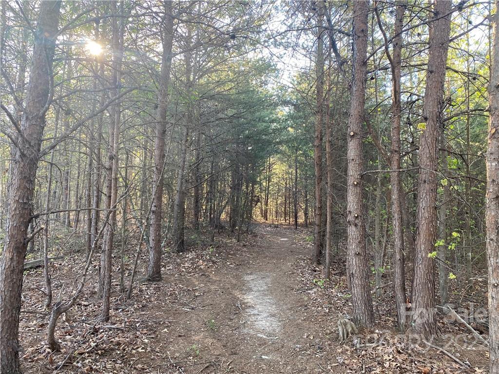 3242 Landrum Road Columbus, NC 28722 - Photo 8 of 11 a view of a forest with trees in the background