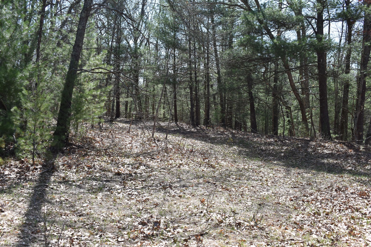 0 South Walhalla Road Fountain, MI 49410 - Photo 4 of 11