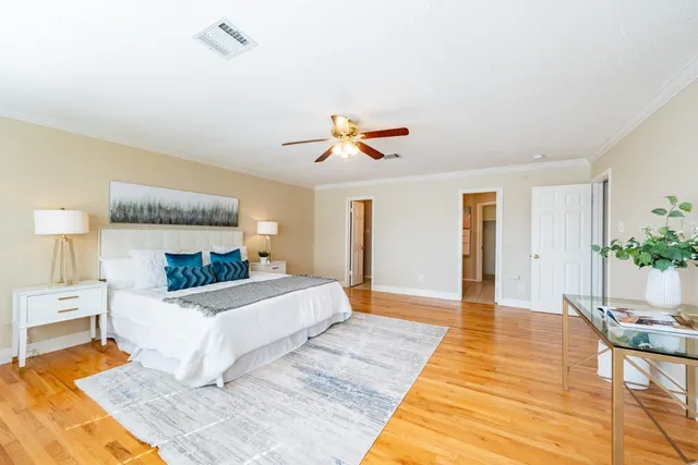 a living room with a bed furniture and a potted plant