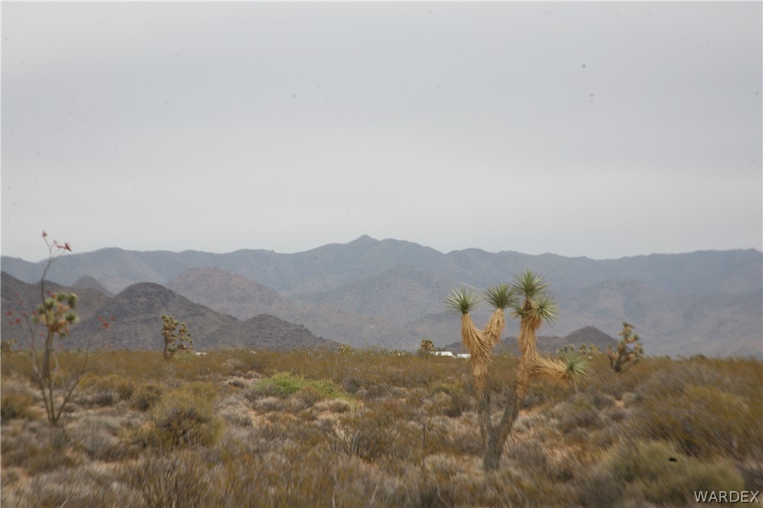 245-18-266 Alan Road Yucca, AZ 86438 - Photo 21 of 54