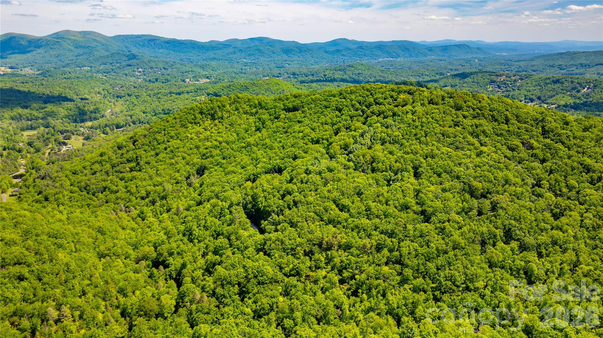 214 Ballard Creek Road Fairview, NC 28730 - Photo 6 of 18 a view of a lush green field with a mountain in the background