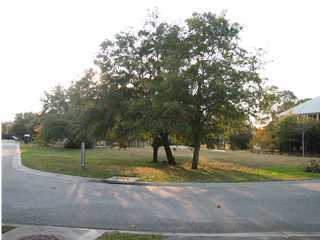 1599 Home Farm Road Mount Pleasant, SC 29464 - Photo 1 of 1 Primary Photo