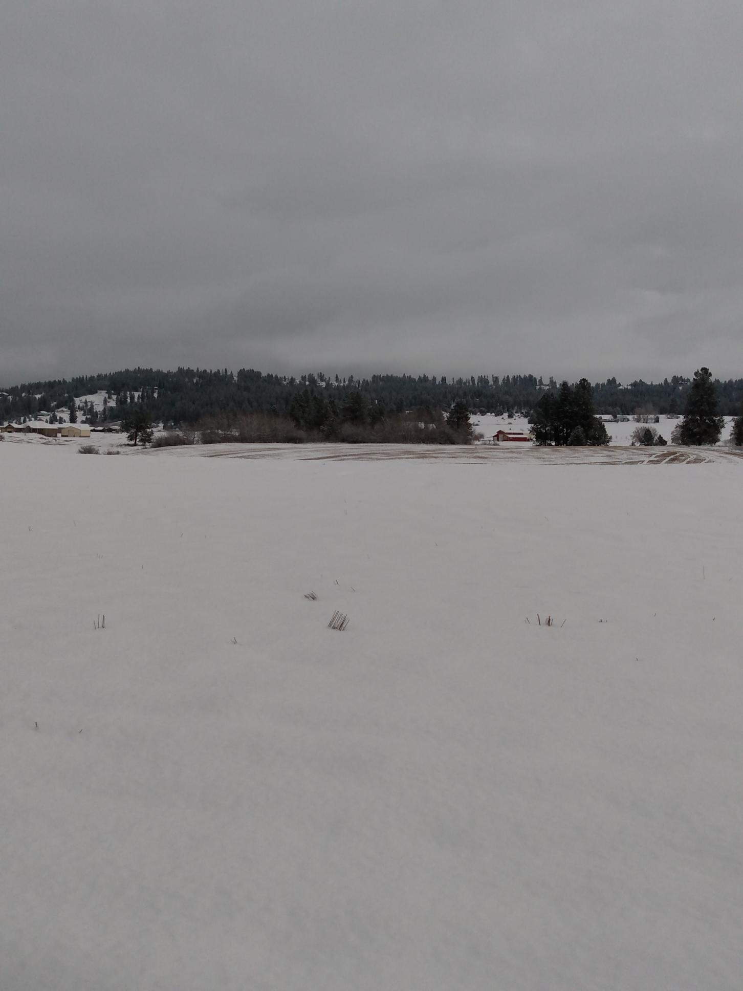 Tbd North Tbd N Peone Road Mead, WA 99021 - Photo 1 of 1