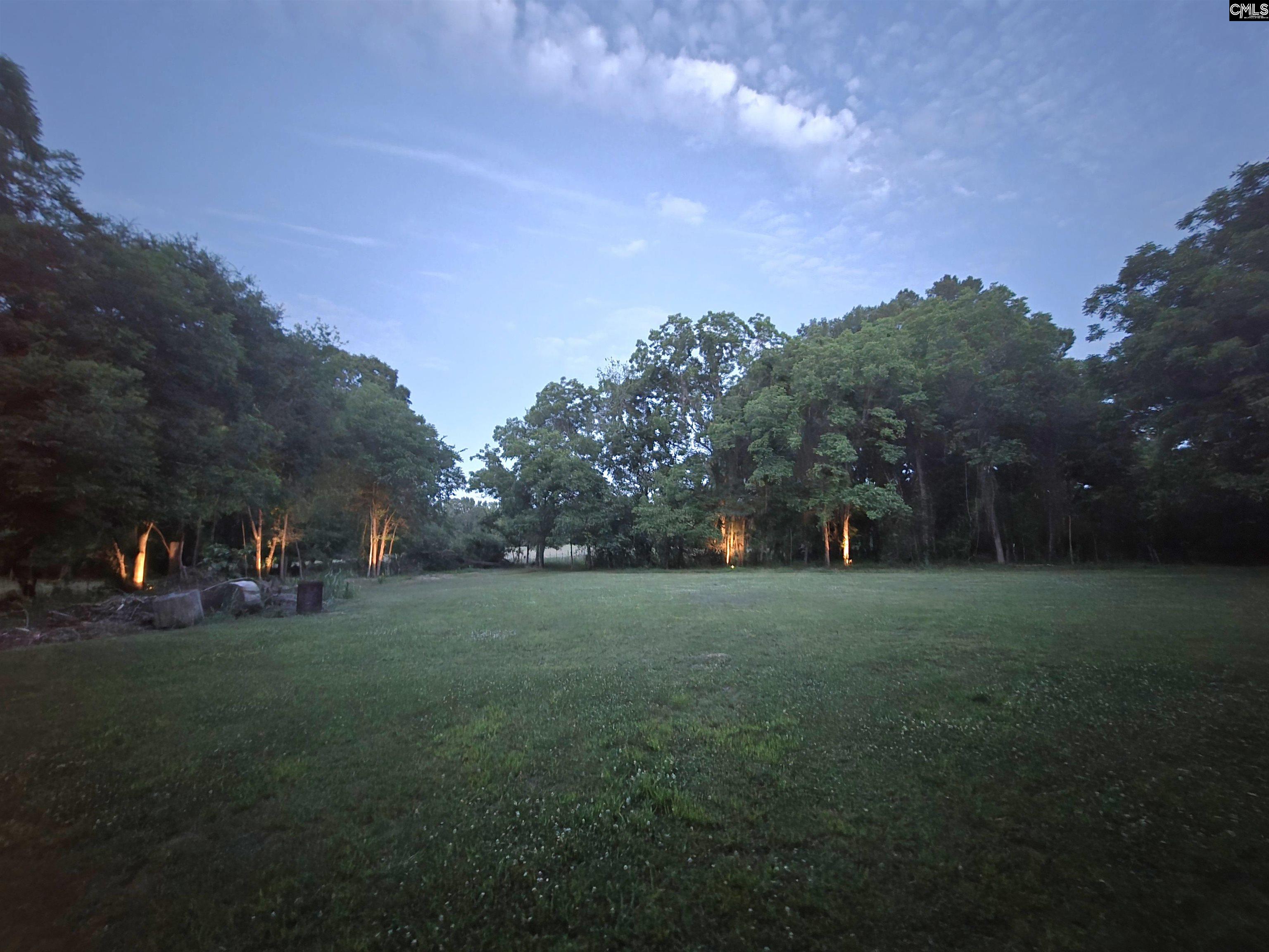 274 State Rd S-36-61 Pomaria, SC 29126 - Photo 57 of 59