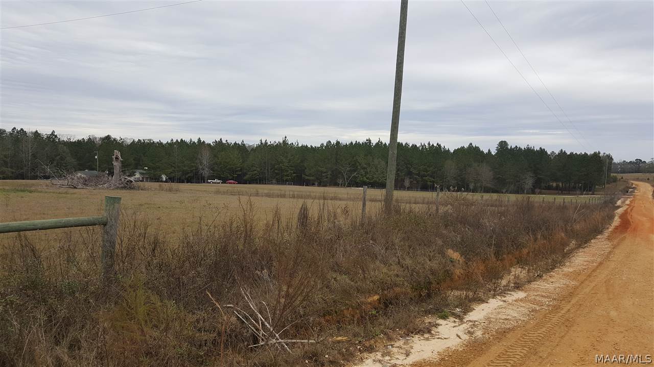 2233 Tindell Creek Road Slocomb, AL 36375 - Photo 27 of 36 Gallery Image 27