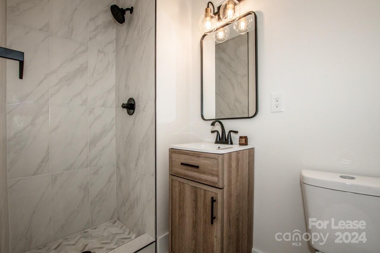 4892 Highway 16 Denver, NC 28037 - Photo 30 of 46 a bathroom with a sink a toilet and mirror