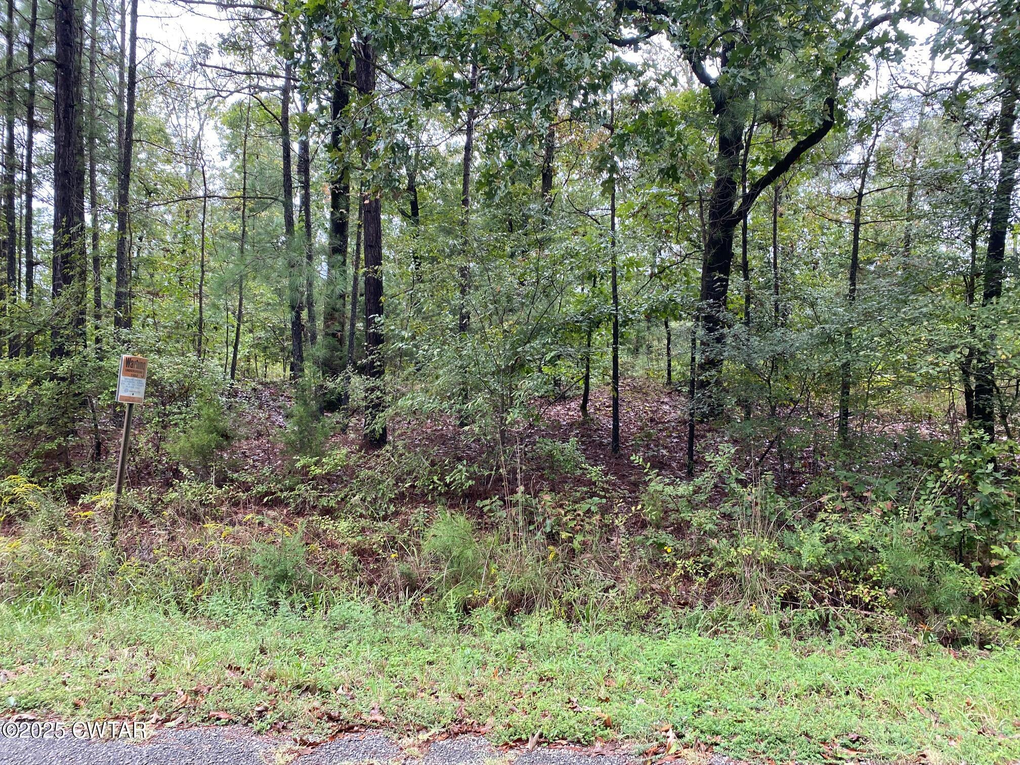 364 Hopewell Church Road Finger, TN 38334 - Photo 2 of 3 a view of a forest that has large trees
