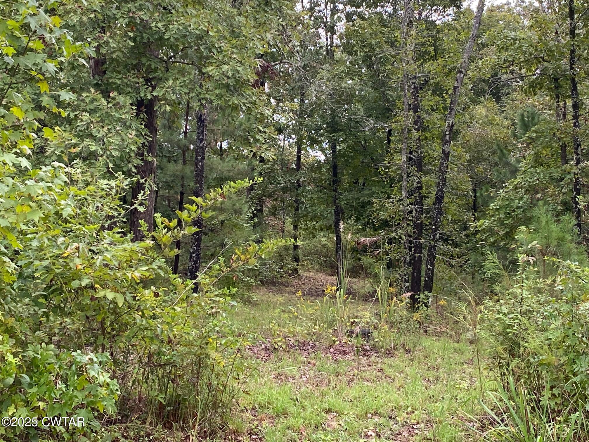 364 Hopewell Church Road Finger, TN 38334 - Photo 3 of 3 a view of outdoor space and green space