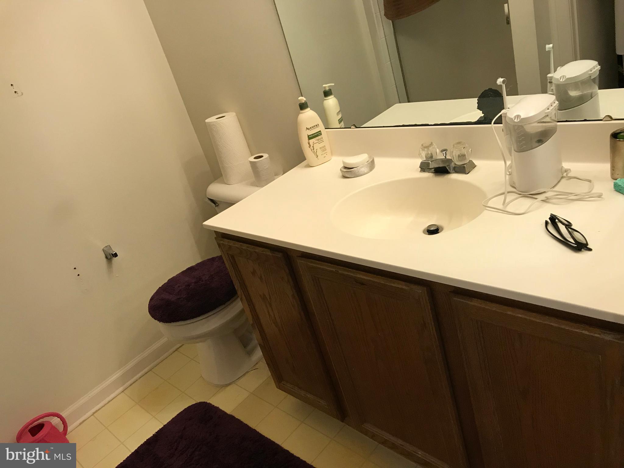 6389 Trips Way Springfield, VA 22150 - Photo 14 of 22 a bathroom with a sink and a mirror