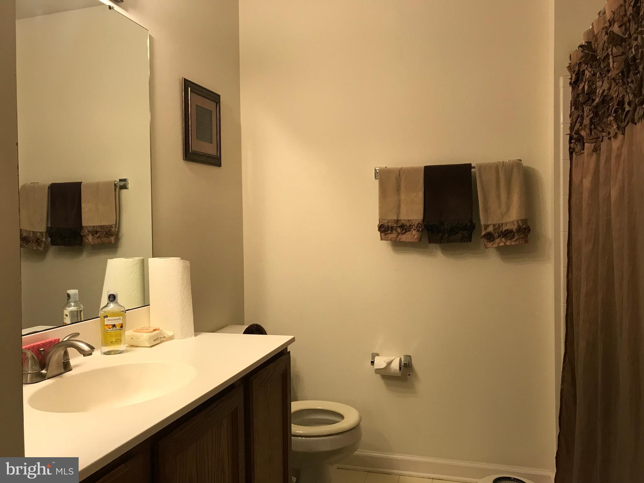 6389 Trips Way Springfield, VA 22150 - Photo 17 of 22 a bathroom with a sink toilet and mirror