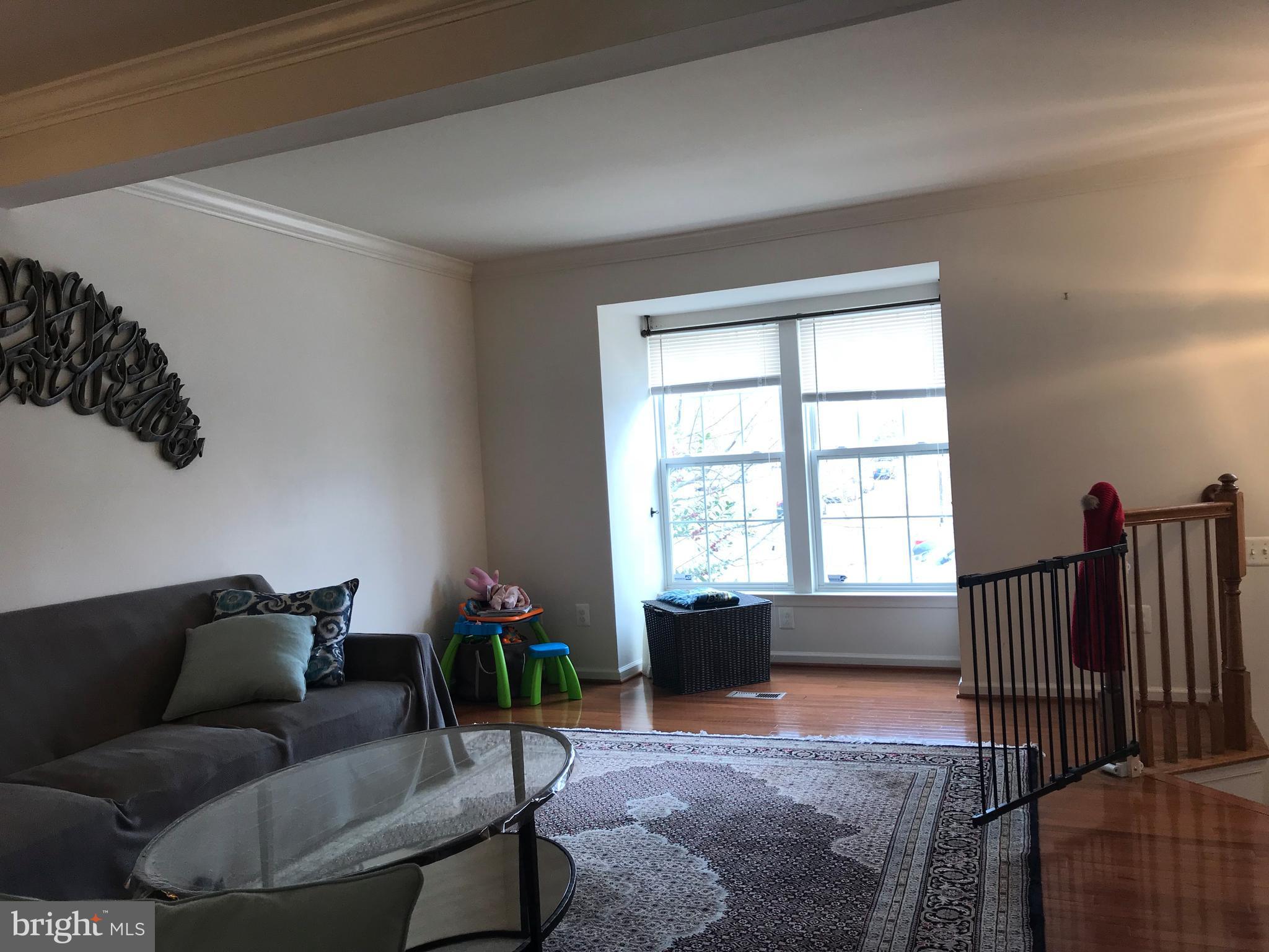 6389 Trips Way Springfield, VA 22150 - Photo 3 of 22 a living room with furniture floor to ceiling window and a rug