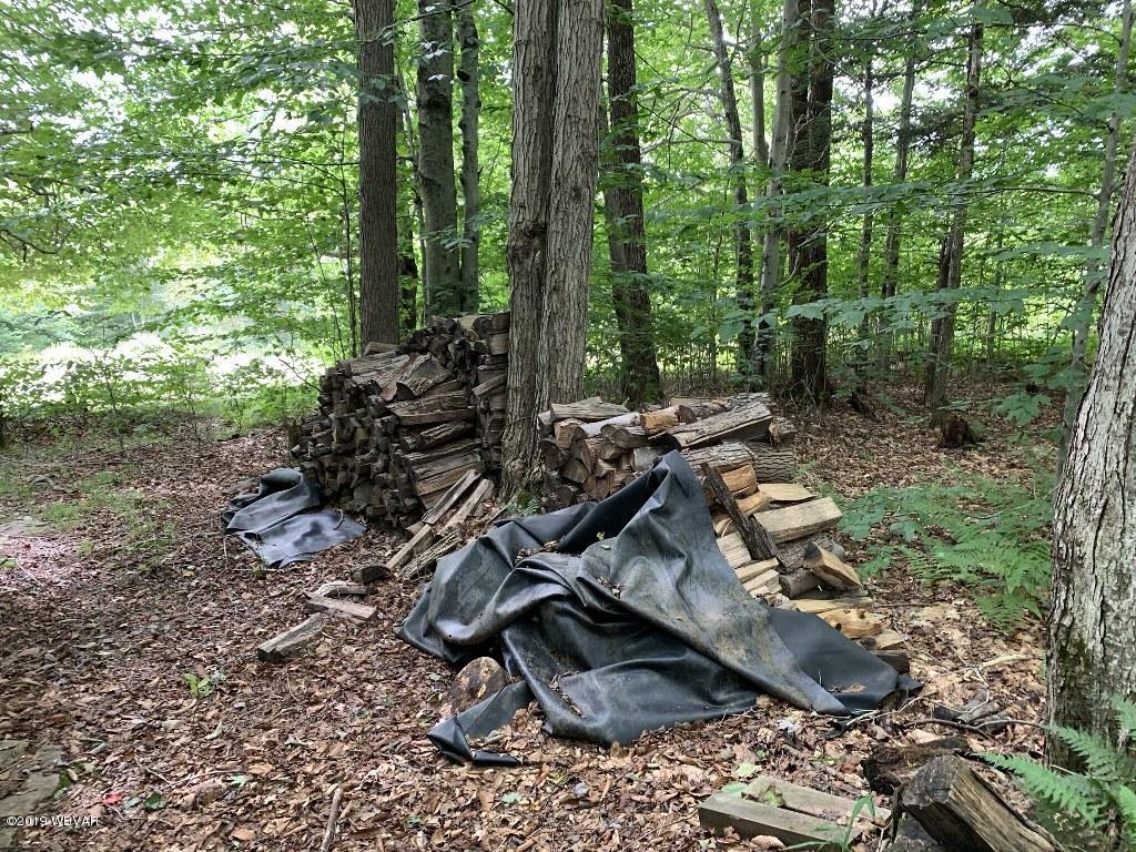 1296 Ellenton Mountain Road Canton, PA 17724 - Photo 24 of 24 IMG_1001_1024x768