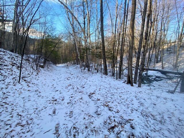 38 Q Post Ridge Hiram, ME 04041 - Photo 6 of 11 IMG_6813