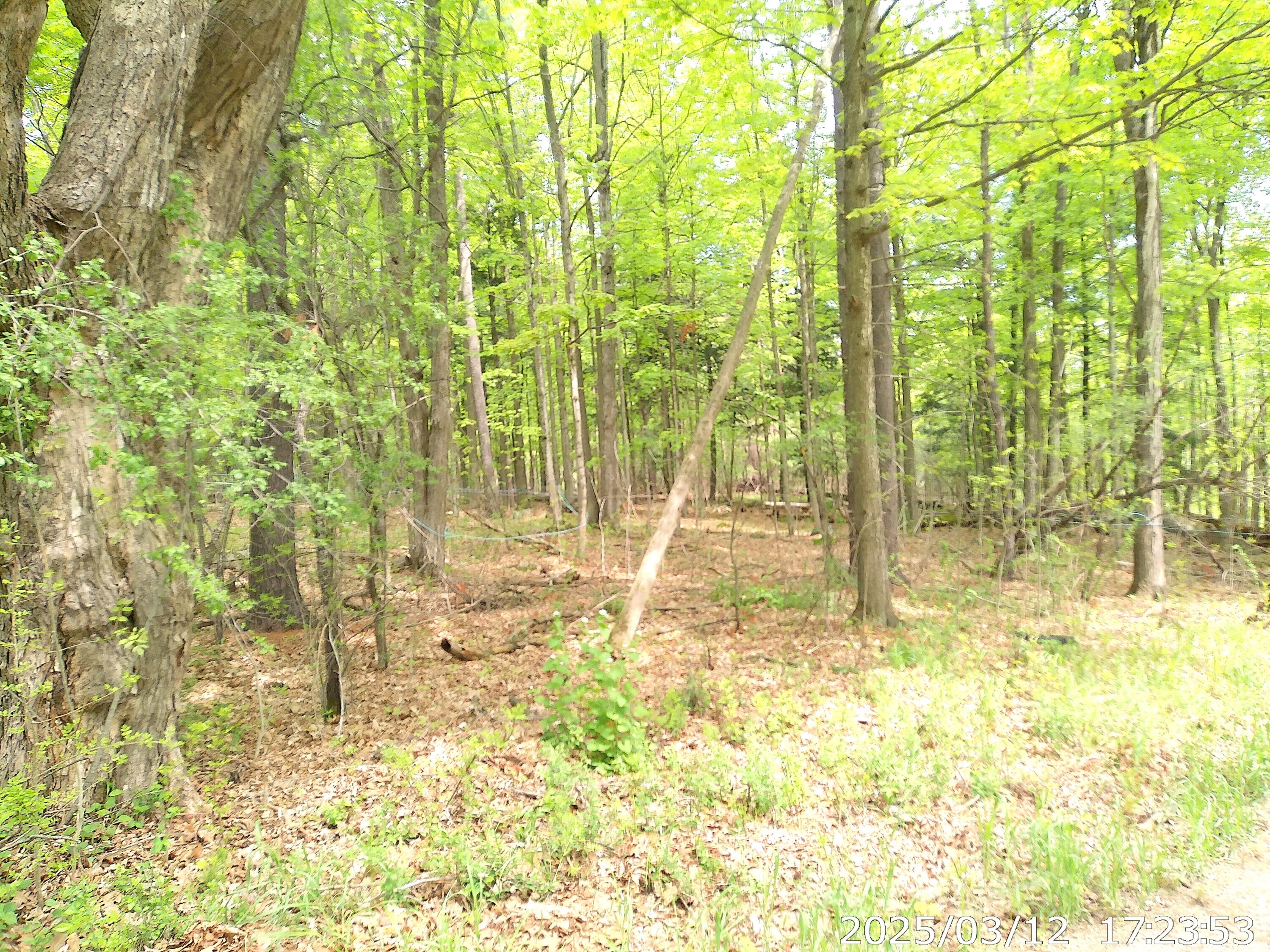 0 Barksdale Road Westport, NY 12993 - Photo 3 of 12