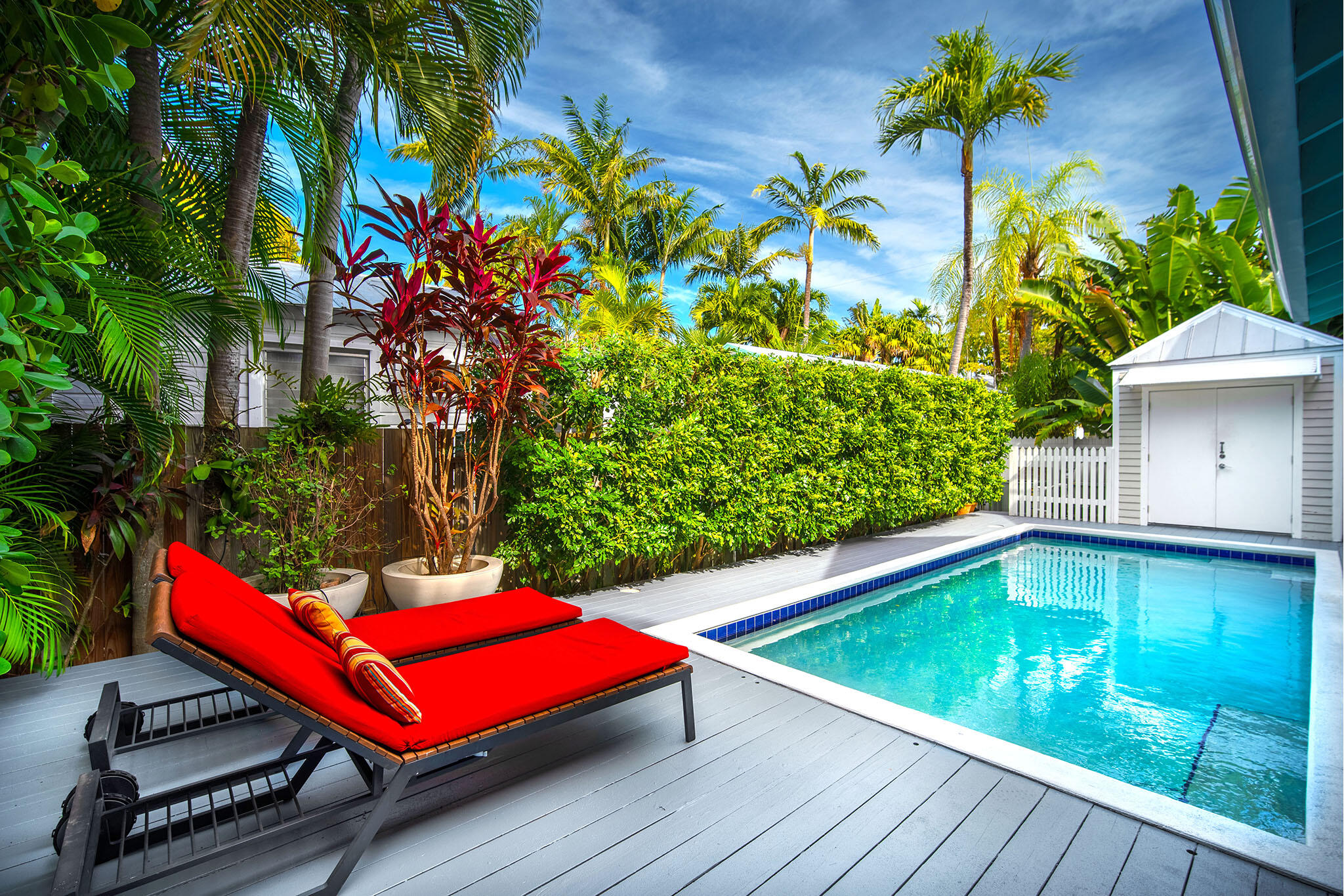1114 Packer Street Key West, FL 33040 - Photo 7 of 94 Pool