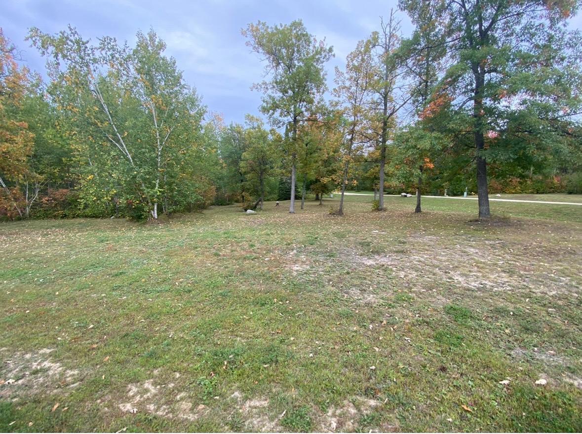 Tbd Kabekona Ridge Drive Northwest Walker, MN 56484 - Photo 1 of 1