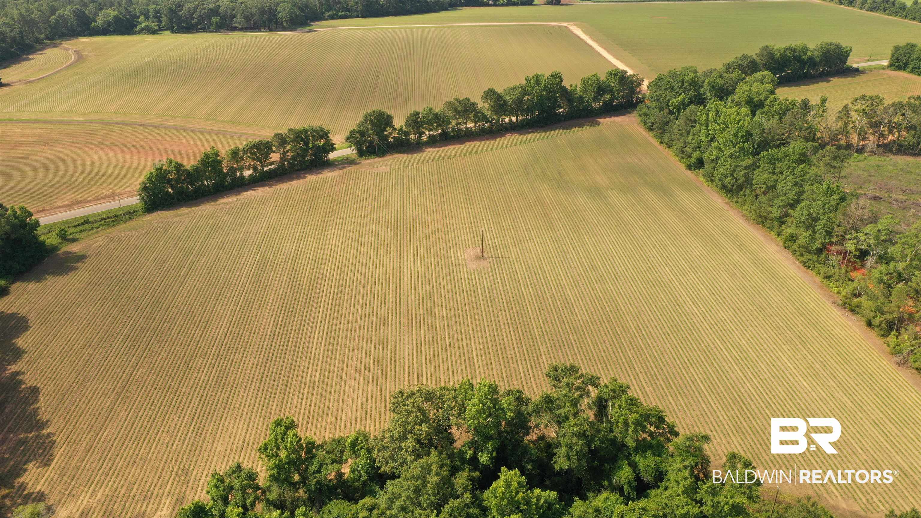 6 Travis Road Brewton, AL 36426 - Photo 11 of 22