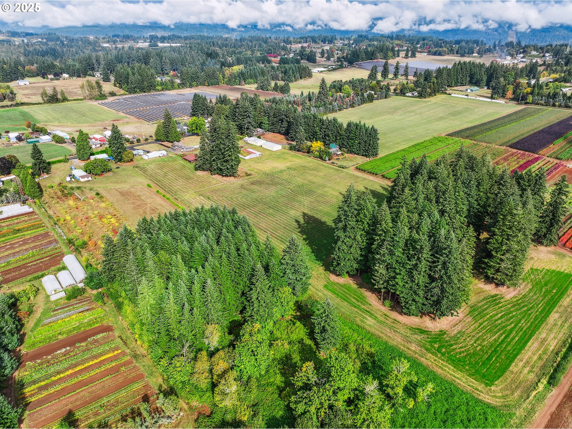 35600 Southeast Dunn Road Boring, OR 97009 - Photo 8 of 11