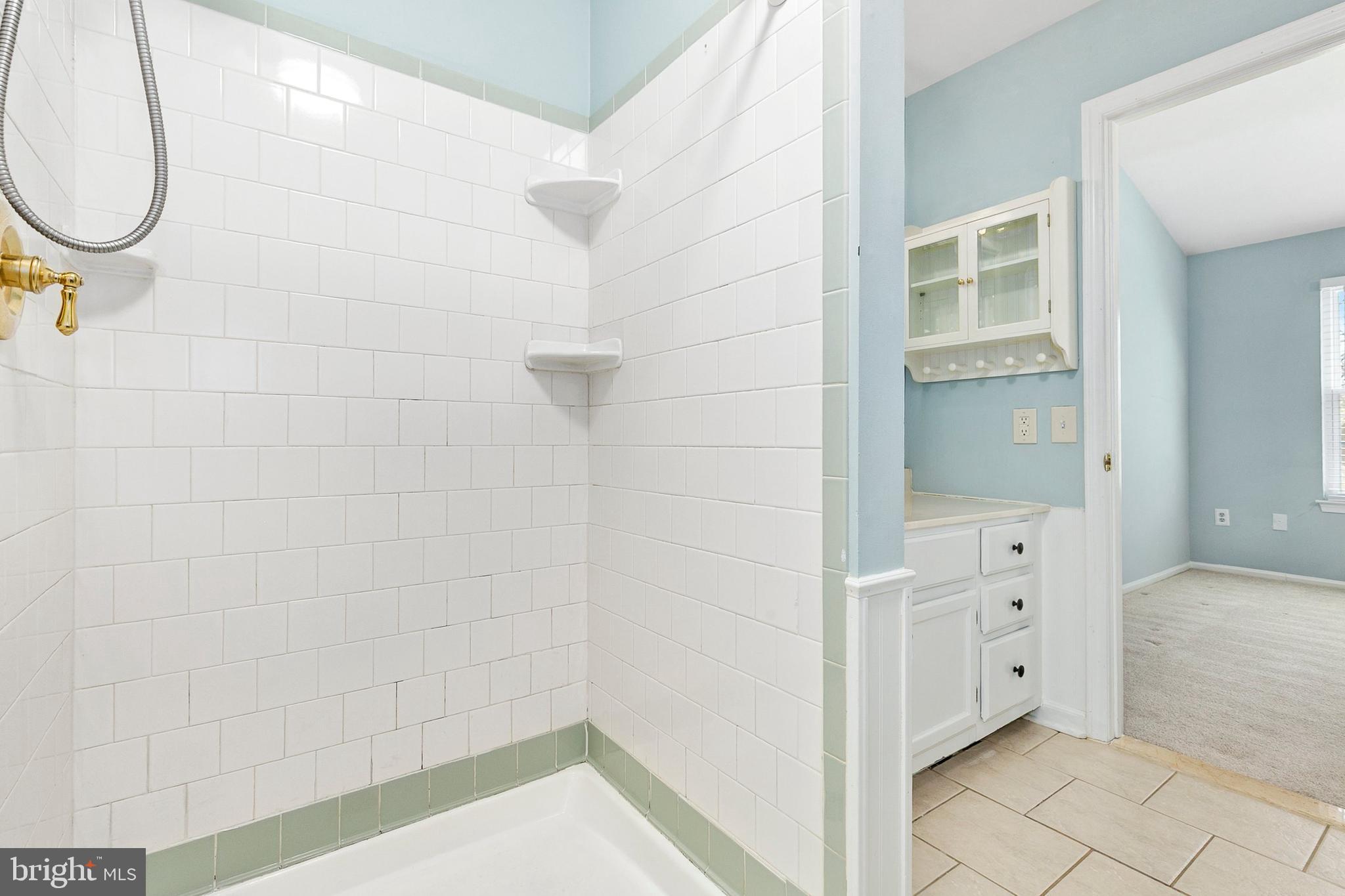4762 Leyden Way Ellicott City, MD 21042 - Photo 39 of 58 a bathroom with a shower