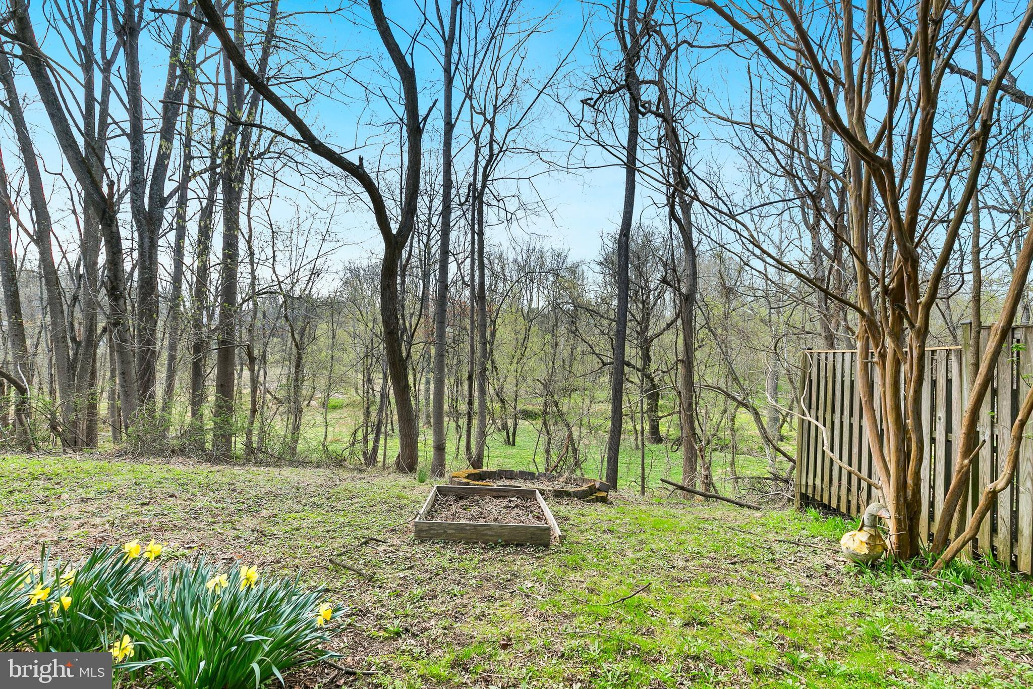 4762 Leyden Way Ellicott City, MD 21042 - Photo 53 of 58 a backyard of a house with trees and outdoor
