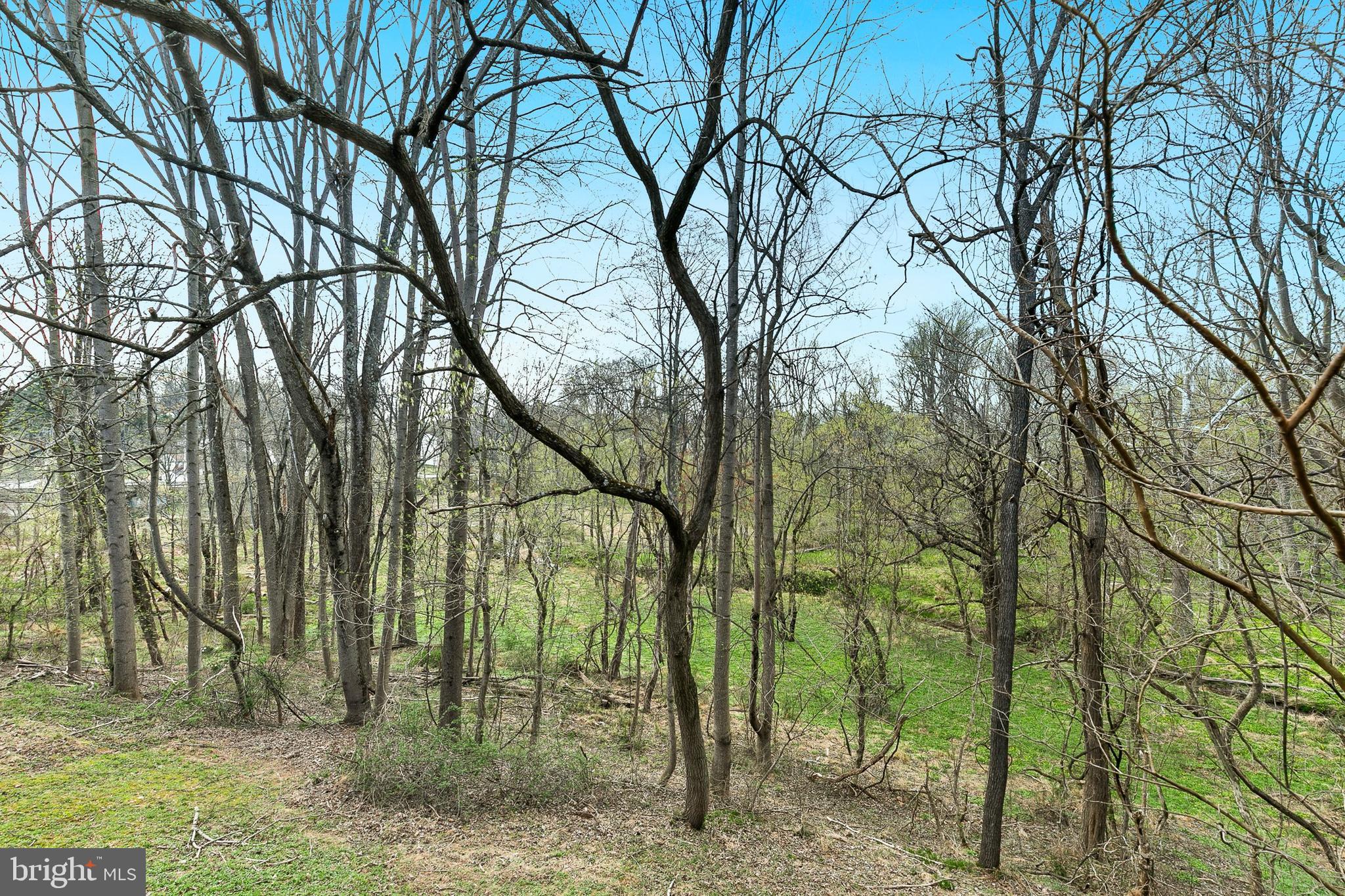 4762 Leyden Way Ellicott City, MD 21042 - Photo 54 of 58 a view of outdoor space and a yard