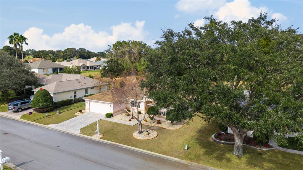 9910 Southeast 138th Loop Summerfield, FL 34491 - Photo 43 of 69 a view of a house with swimming pool and a yard