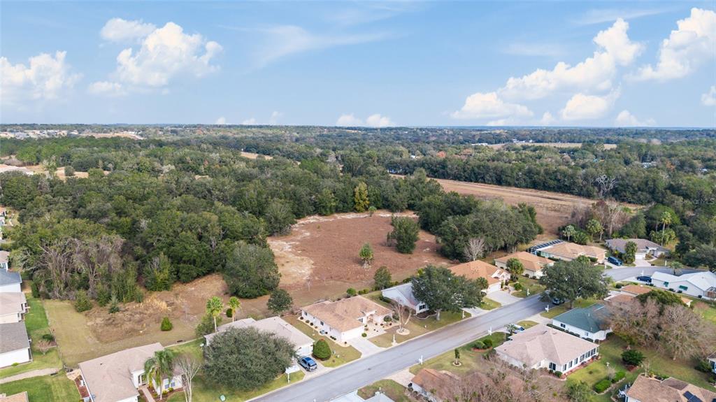 9910 Southeast 138th Loop Summerfield, FL 34491 - Photo 50 of 69