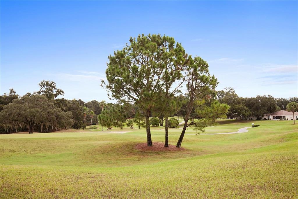 9910 Southeast 138th Loop Summerfield, FL 34491 - Photo 68 of 69 a view of an outdoor space and swimming pool