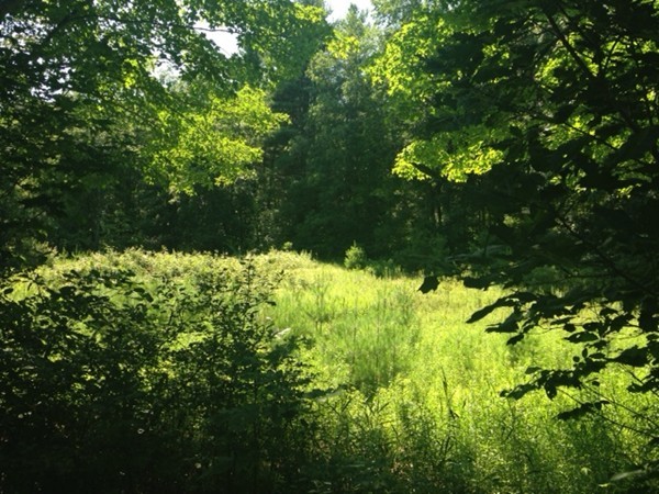 Lot 4 North Brookfield Road Rutland, MA 01543 - Photo 1 of 7 Gallery Image 1
