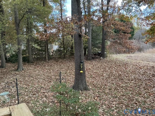 9525 Alfaree Road Richmond, VA 23237 - Photo 15 of 20 View of nature
