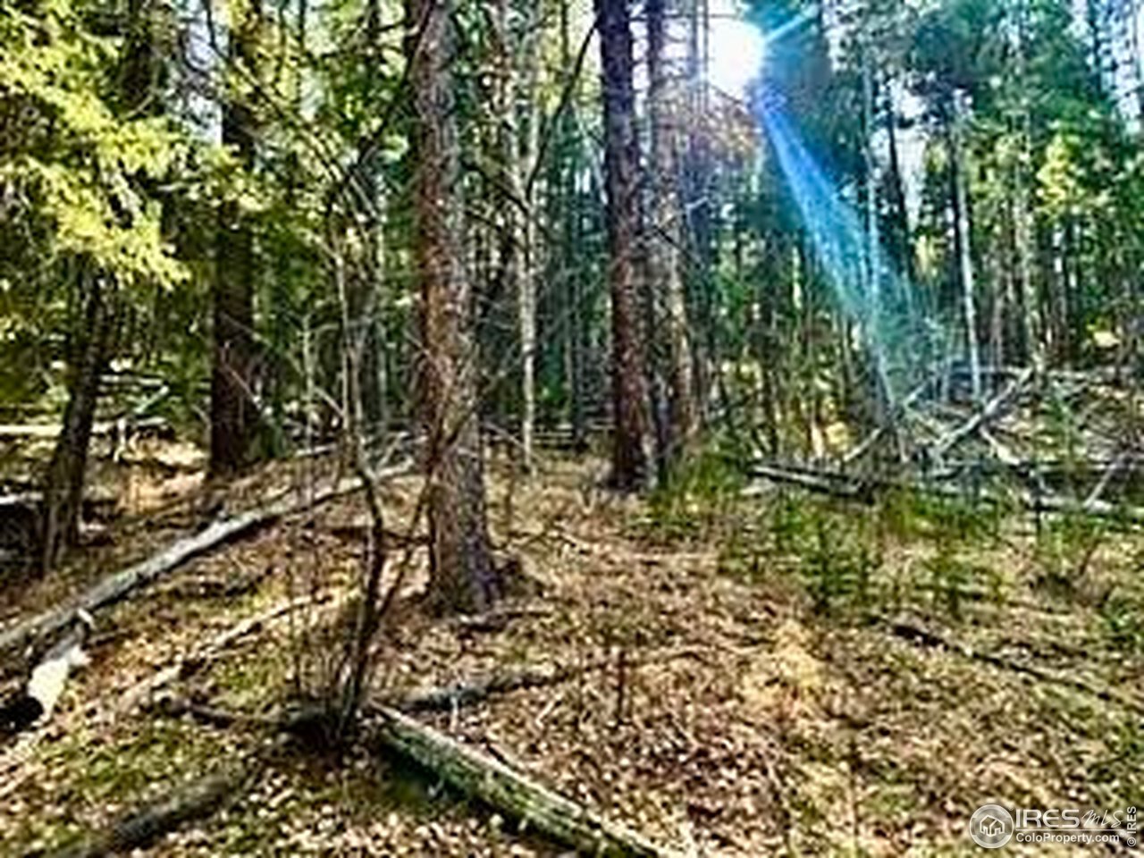 0 Snowy Trail Morrison, CO 80465 - Photo 11 of 16