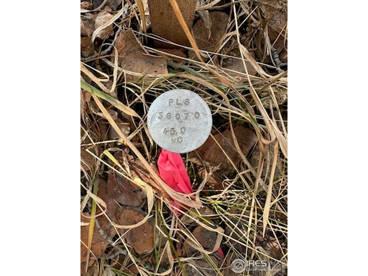 0 Snowy Trail Morrison, CO 80465 - Photo 15 of 16 Stakes marking the perimeter of the property have been placed as part of a recent survey completion.