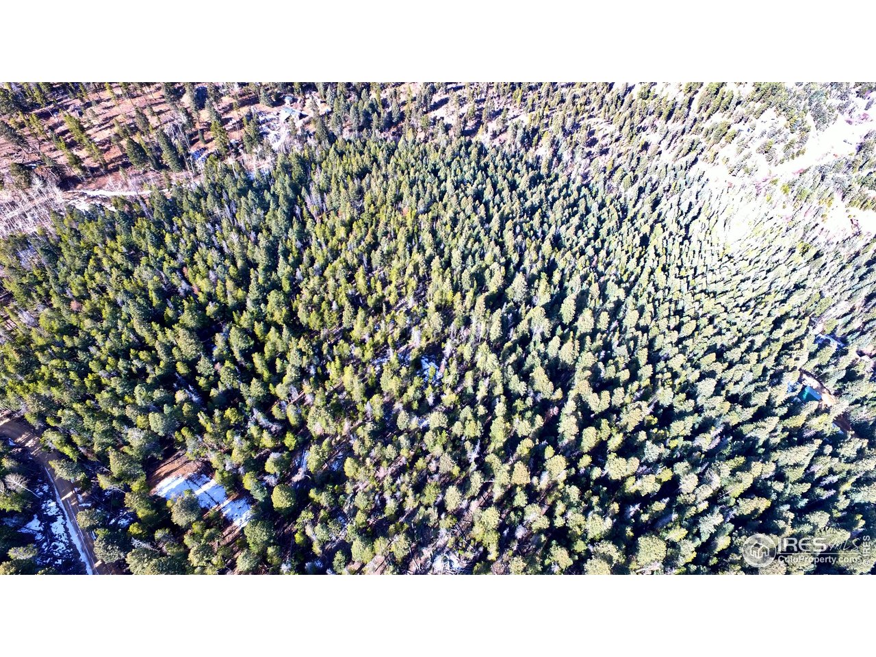 0 Snowy Trail Morrison, CO 80465 - Photo 5 of 16