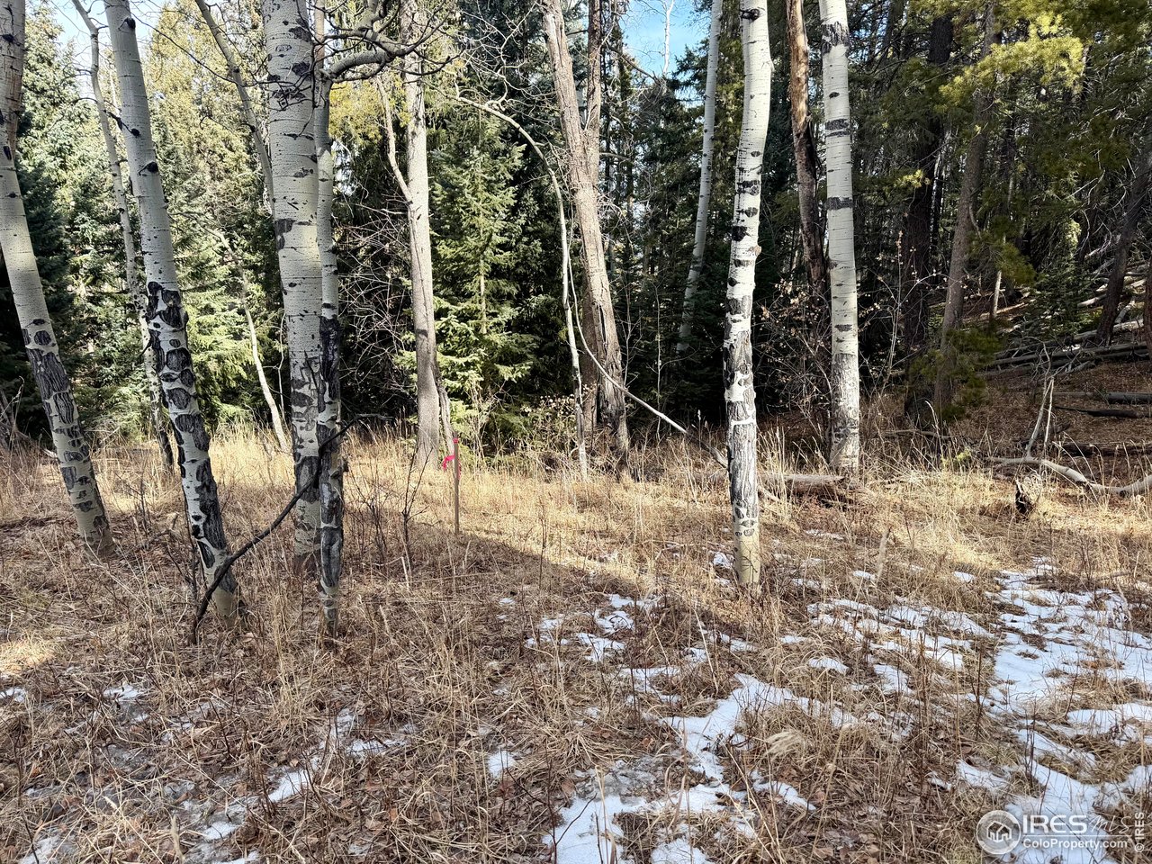 0 Snowy Trail Morrison, CO 80465 - Photo 10 of 16