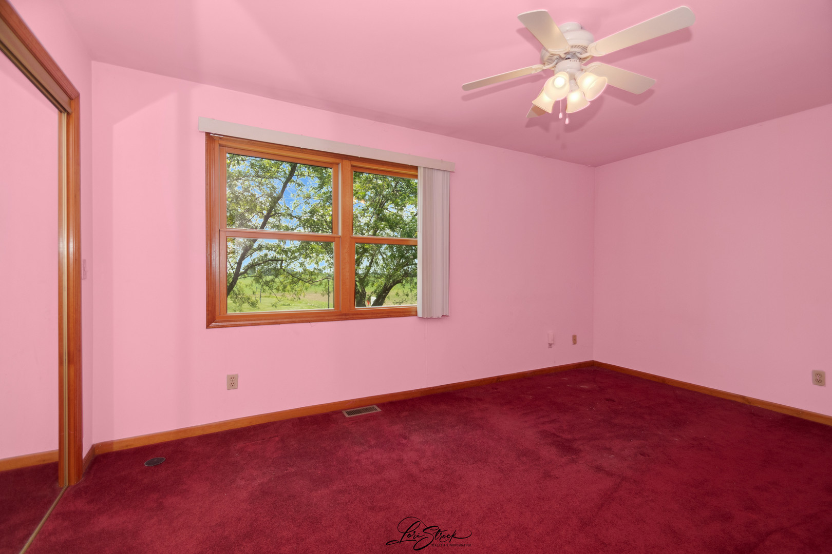 280 Park Chebanse, IL 60922 - Photo 26 of 27