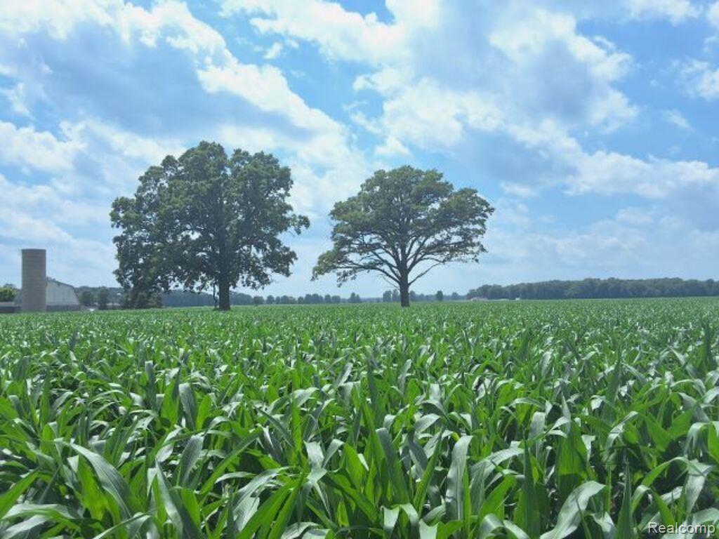 Auction Lot # 2 Auction Road Allenton, MI 48002 - Photo 1 of 4