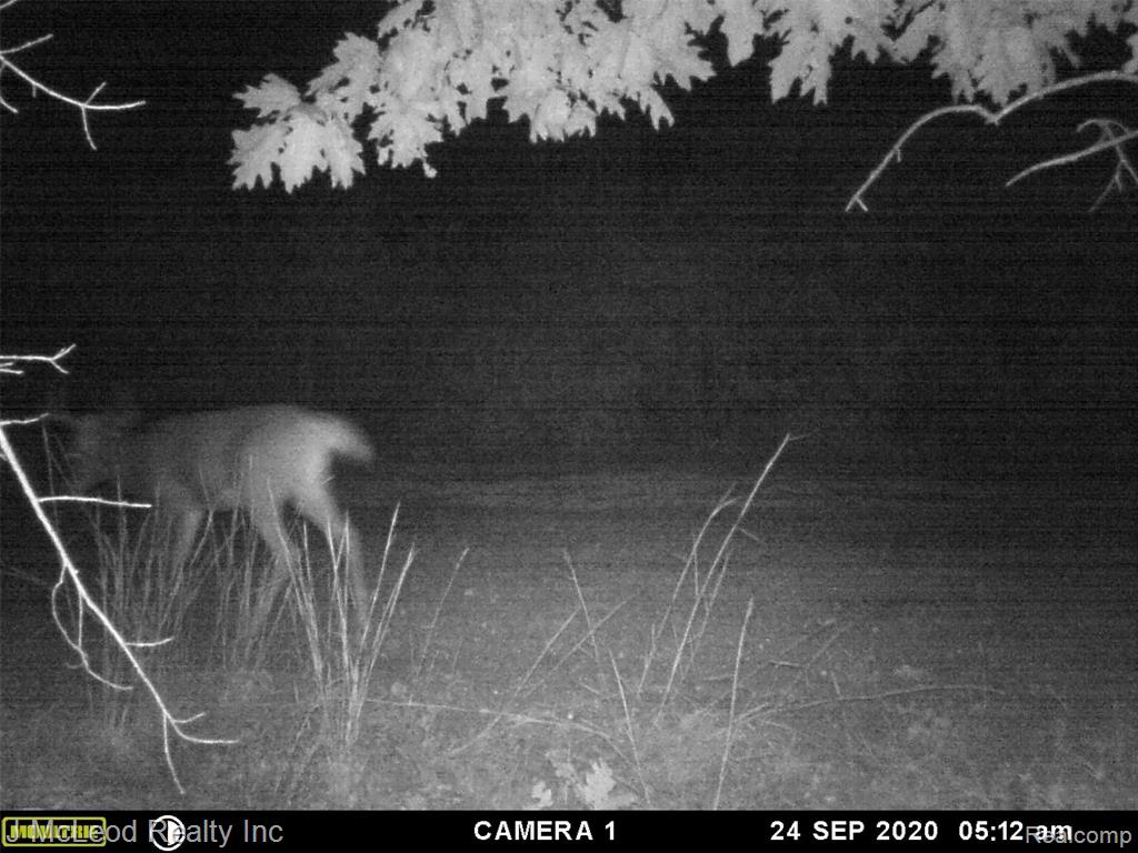 1805 Pierce Road Caro, MI 48723 - Photo 25 of 32