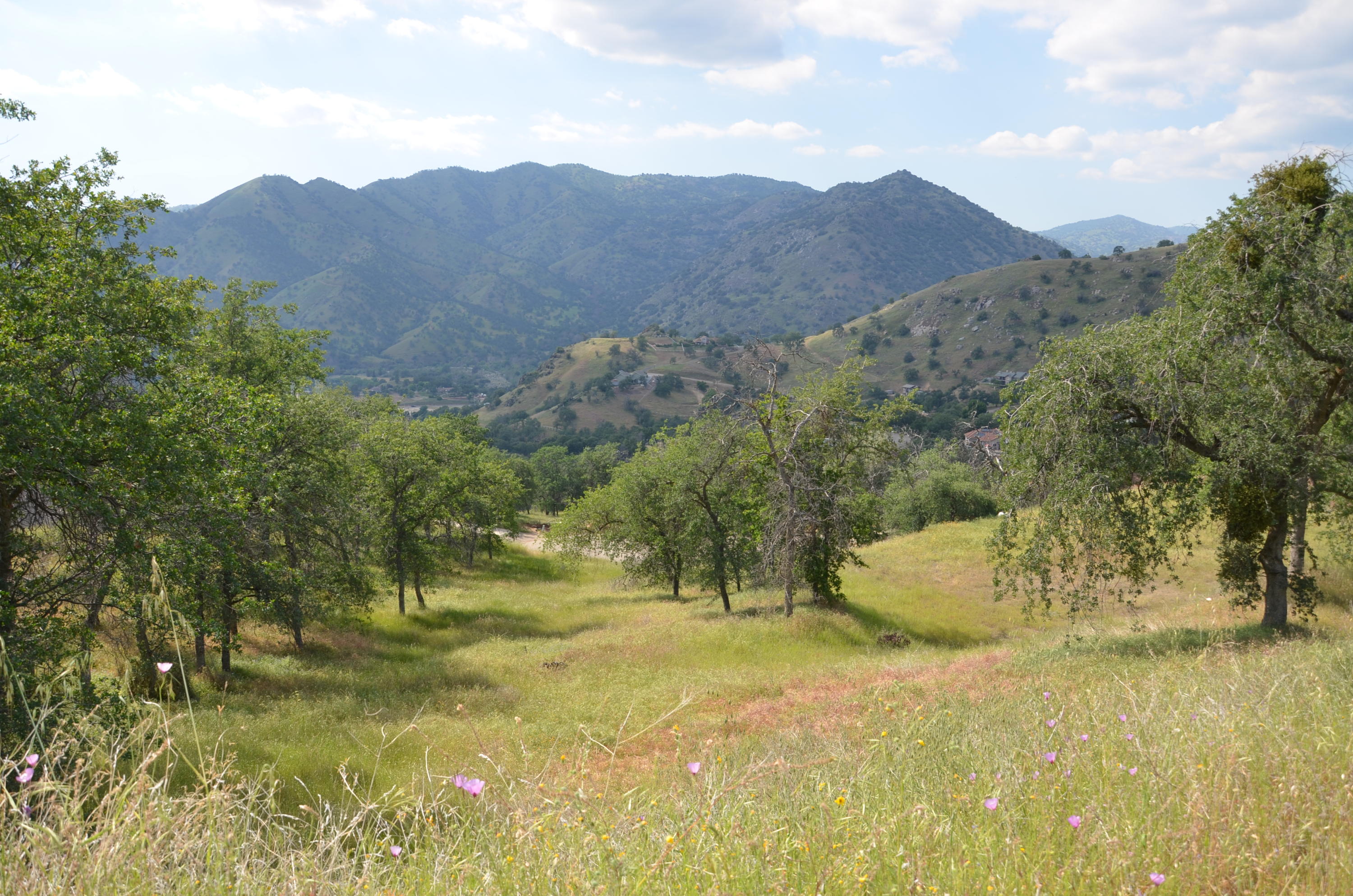 42360 Corral Drive Three Rivers, CA 93271 - Photo 9 of 15 04302020 (25) - Copy