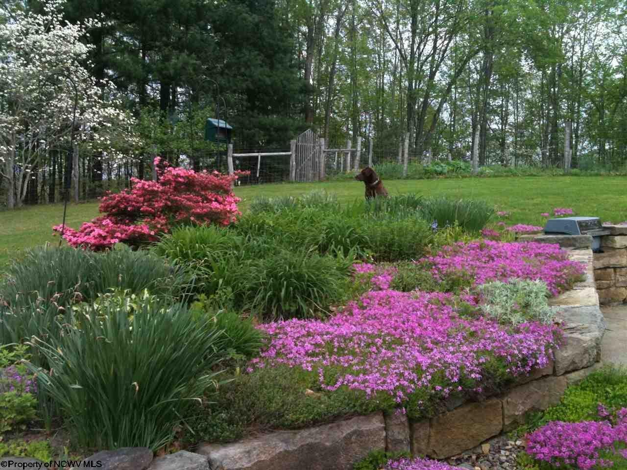 1 Rt Mill Creek, WV 26280 - Photo 20 of 20 Gallery Image 20