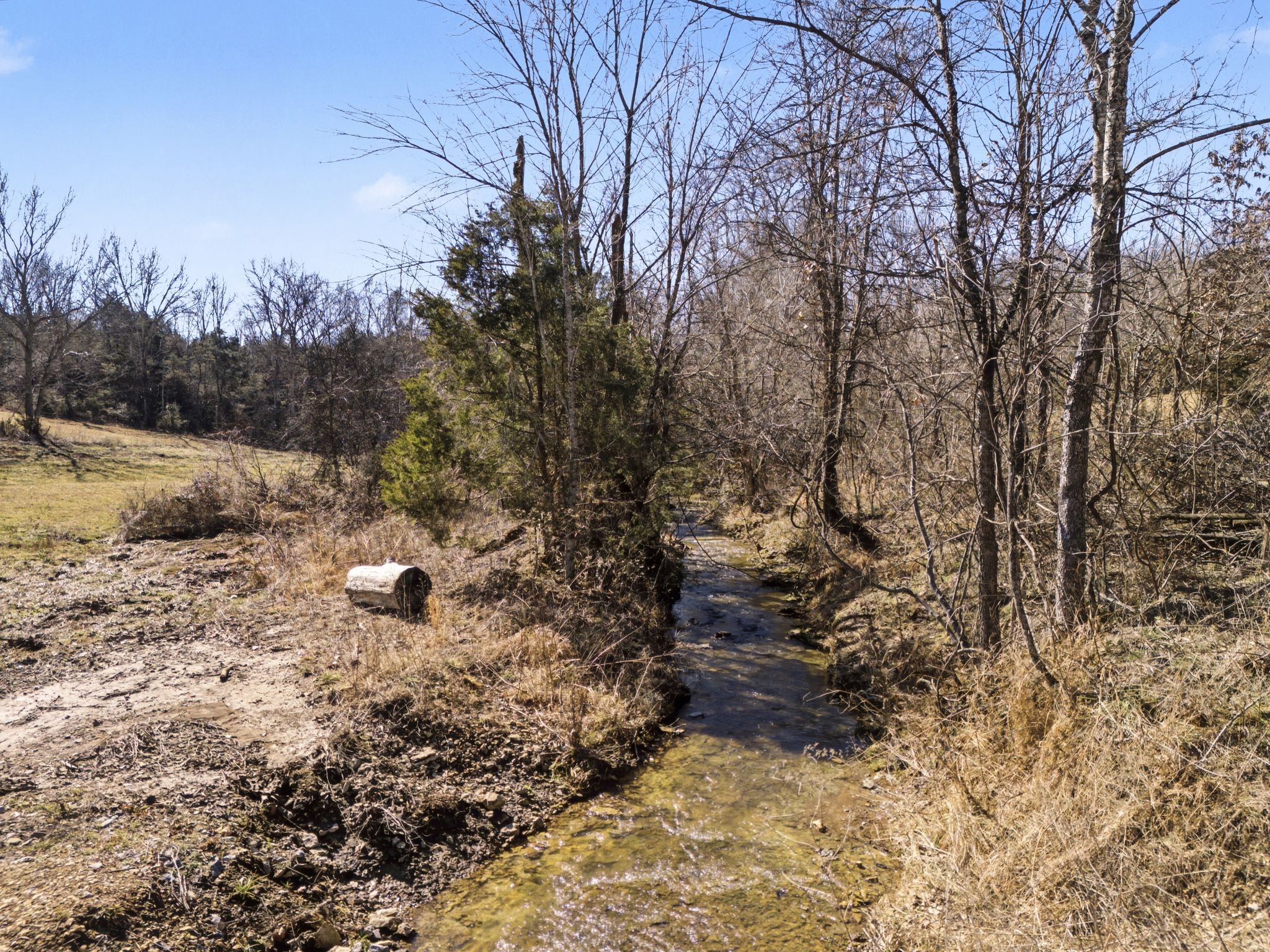 1528 Fairfield Road Westmoreland, TN 37186 - Photo 15 of 35 a view of a red yard with trees