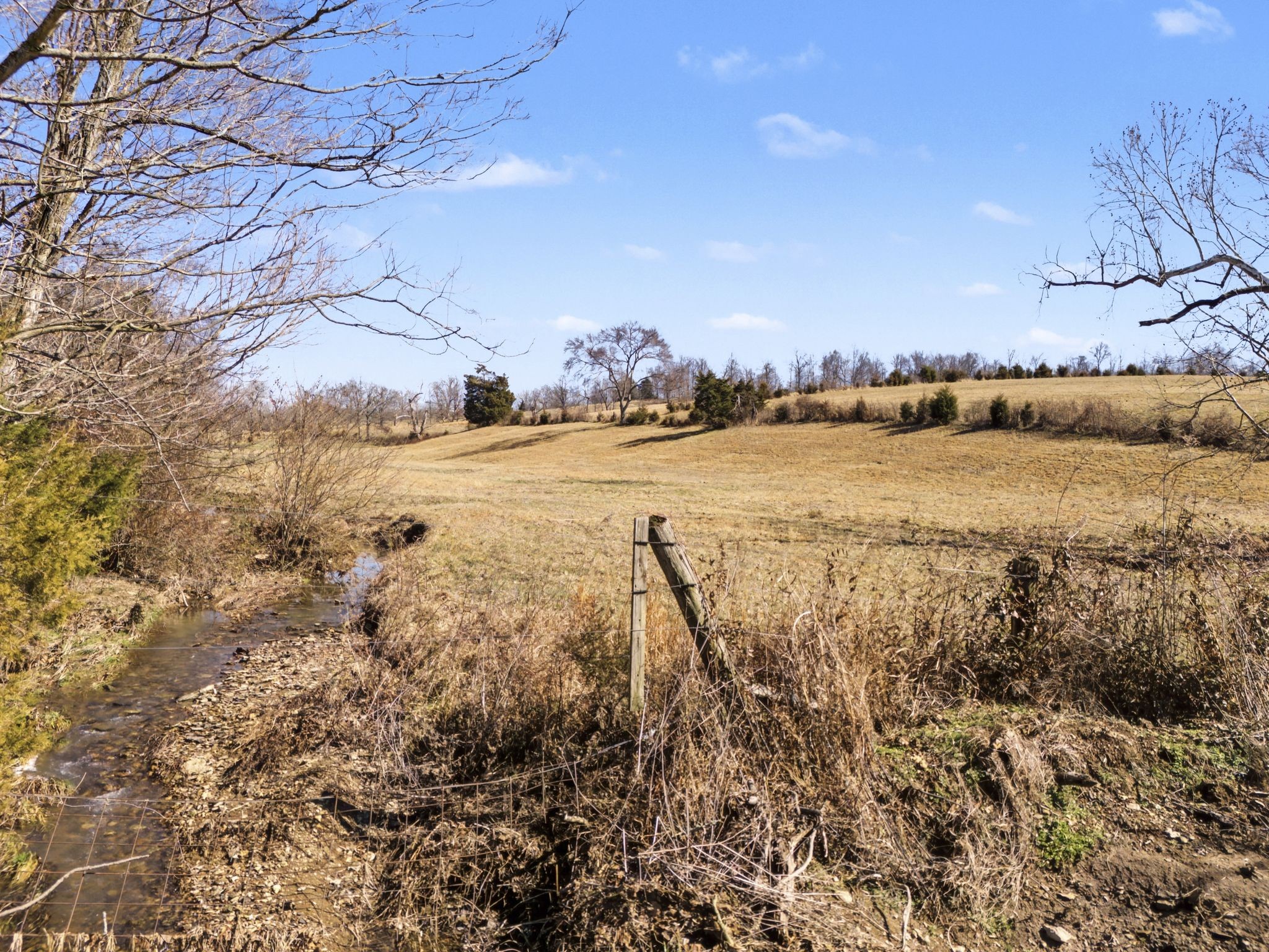 1528 Fairfield Road Westmoreland, TN 37186 - Photo 16 of 35 a view of an ocean