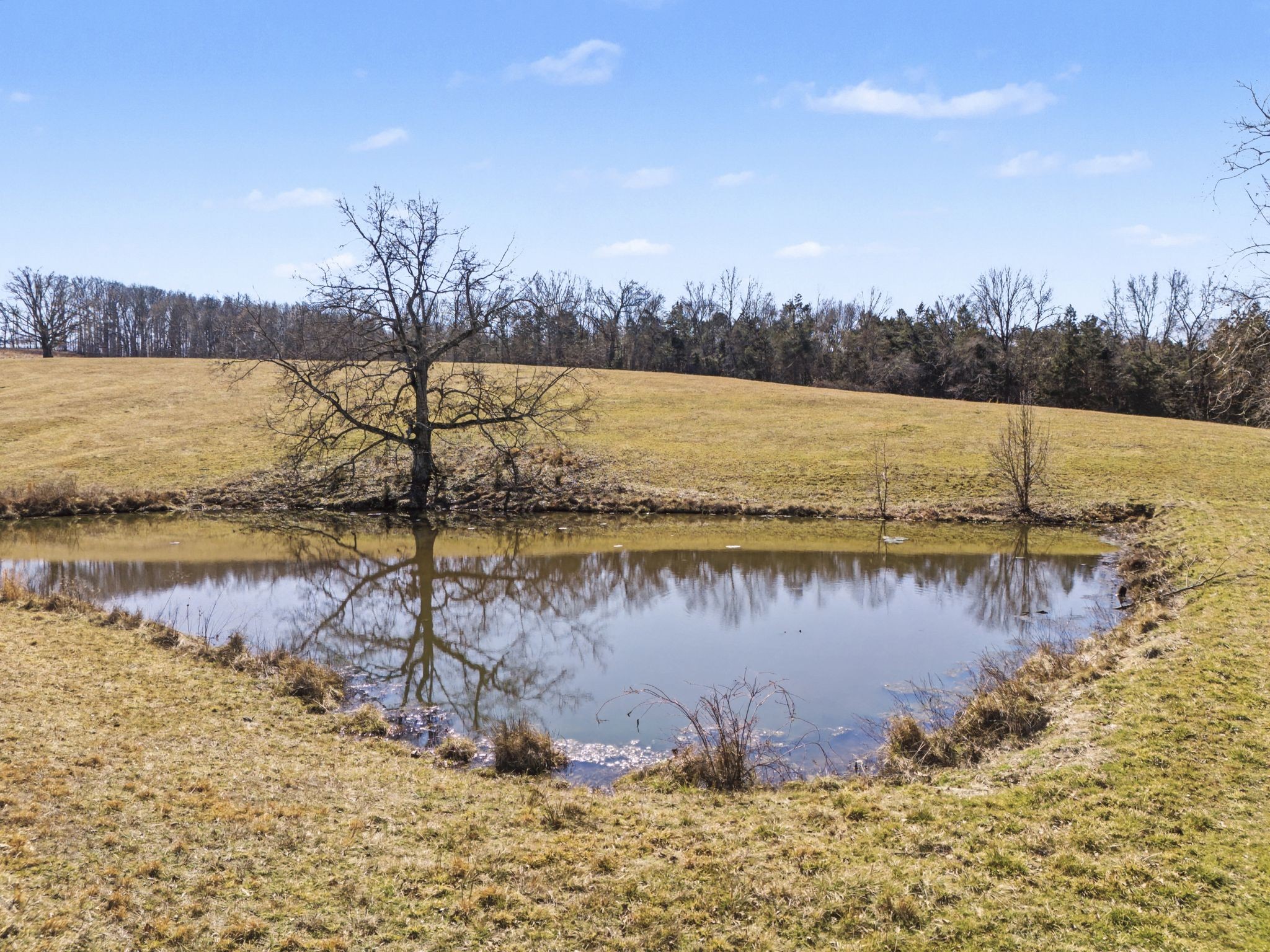 1528 Fairfield Road Westmoreland, TN 37186 - Photo 18 of 35