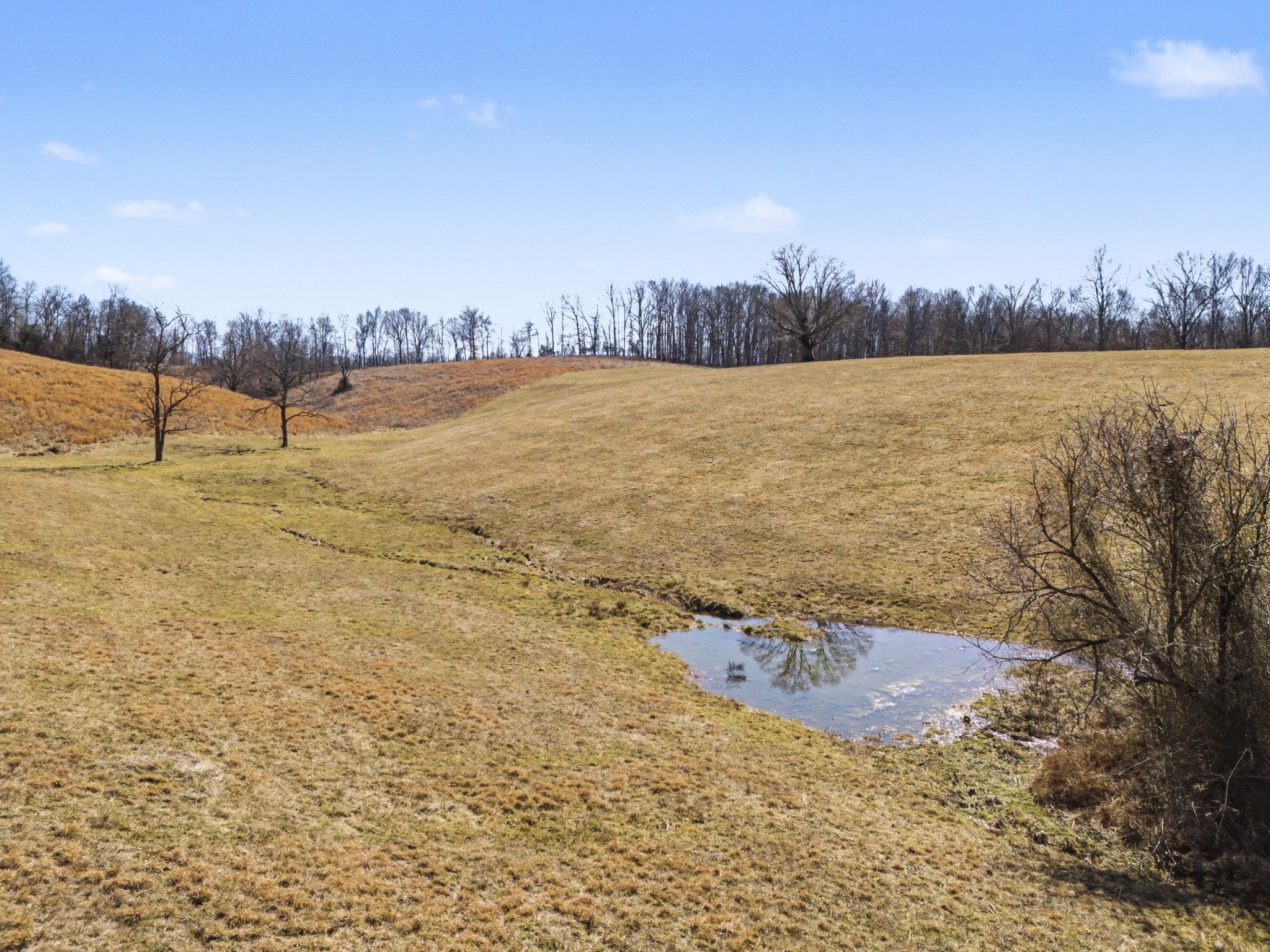 1528 Fairfield Road Westmoreland, TN 37186 - Photo 20 of 35 a view of a lake
