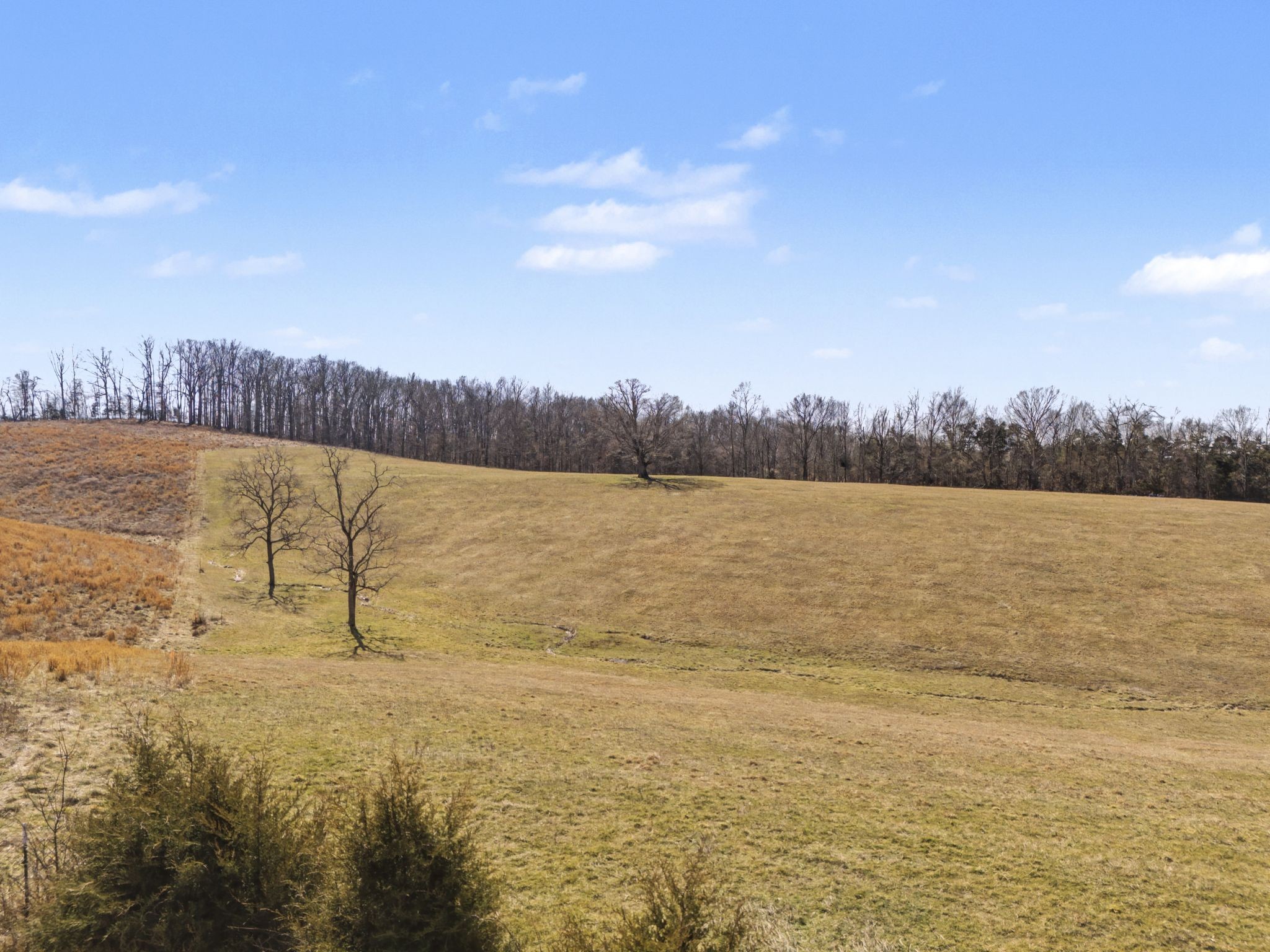 1528 Fairfield Road Westmoreland, TN 37186 - Photo 21 of 35 a view of an ocean with city view
