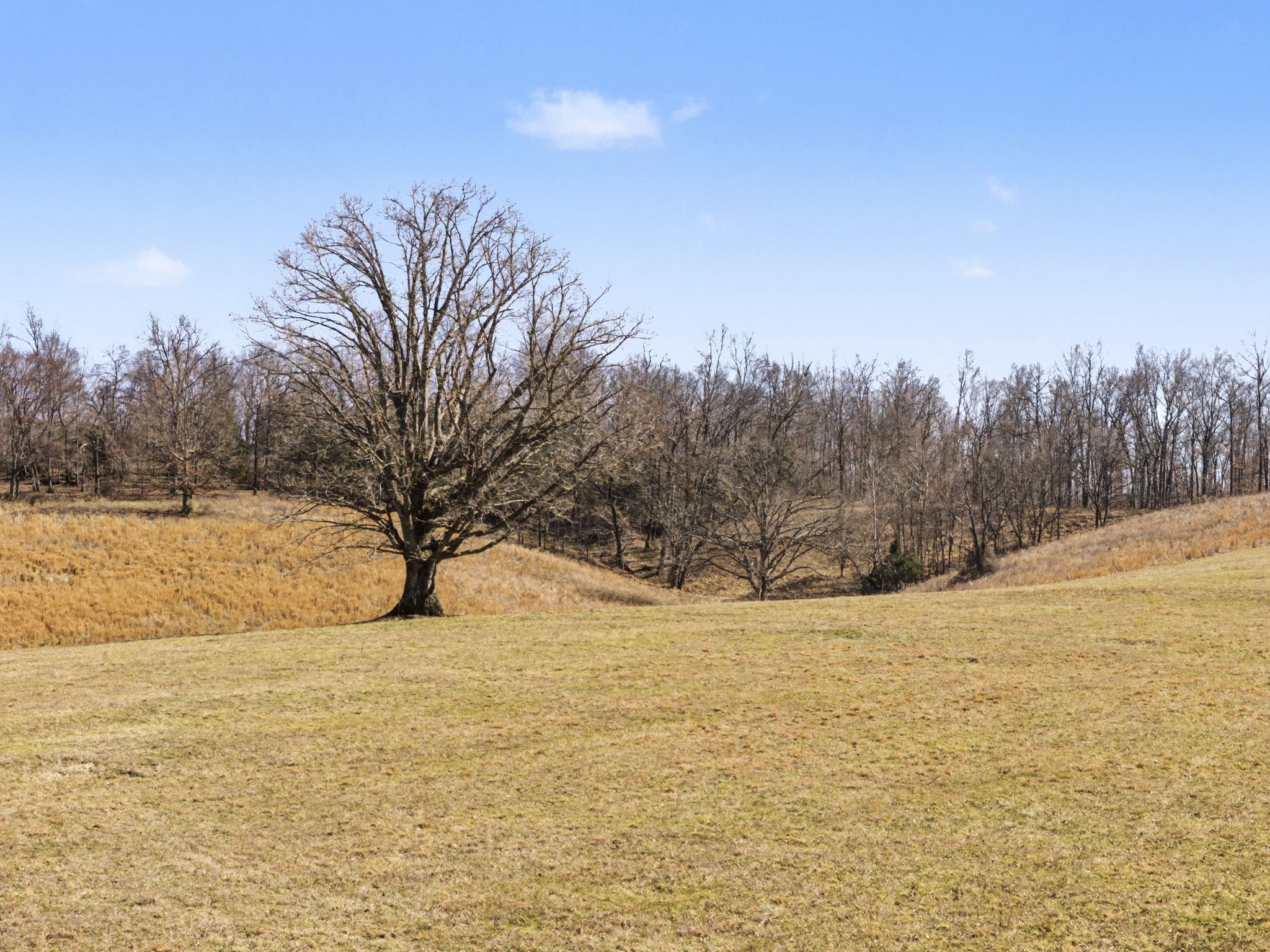 1528 Fairfield Road Westmoreland, TN 37186 - Photo 32 of 35 a view of large snow and a yard