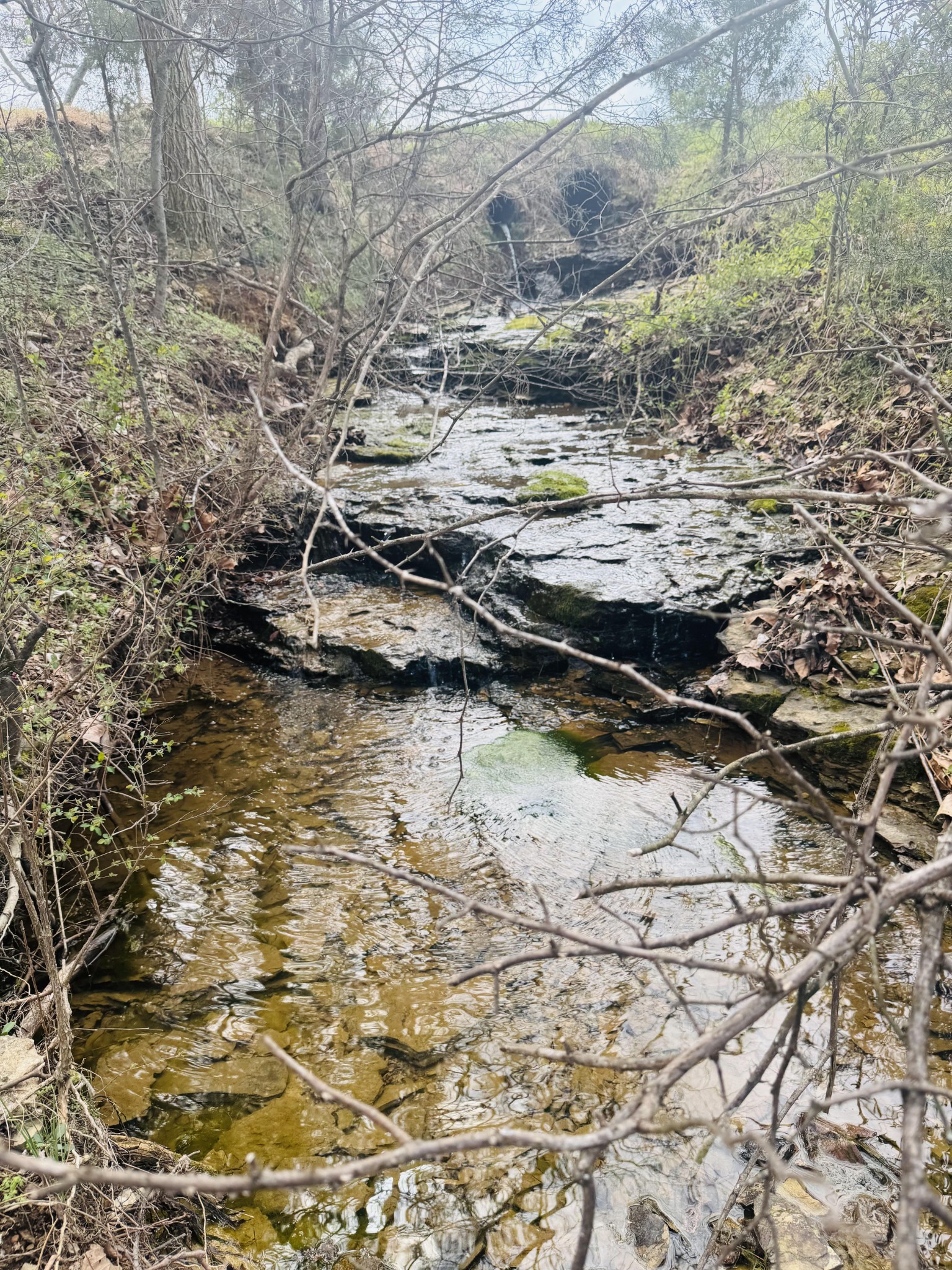 1528 Fairfield Road Westmoreland, TN 37186 - Photo 4 of 35