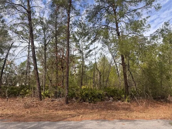 a view of a yard with large trees